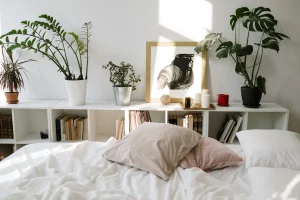 Room with white bed, pastel cushions, and a shelf with plants and books, showing how to create a cozy and natural atmosphere in a small apartment on a reduced budget