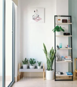 Rincón luminoso y ordenado con estantería negra con libros, decoración y plantas. Abajo, soporte con más plantas. Ventana al lado.