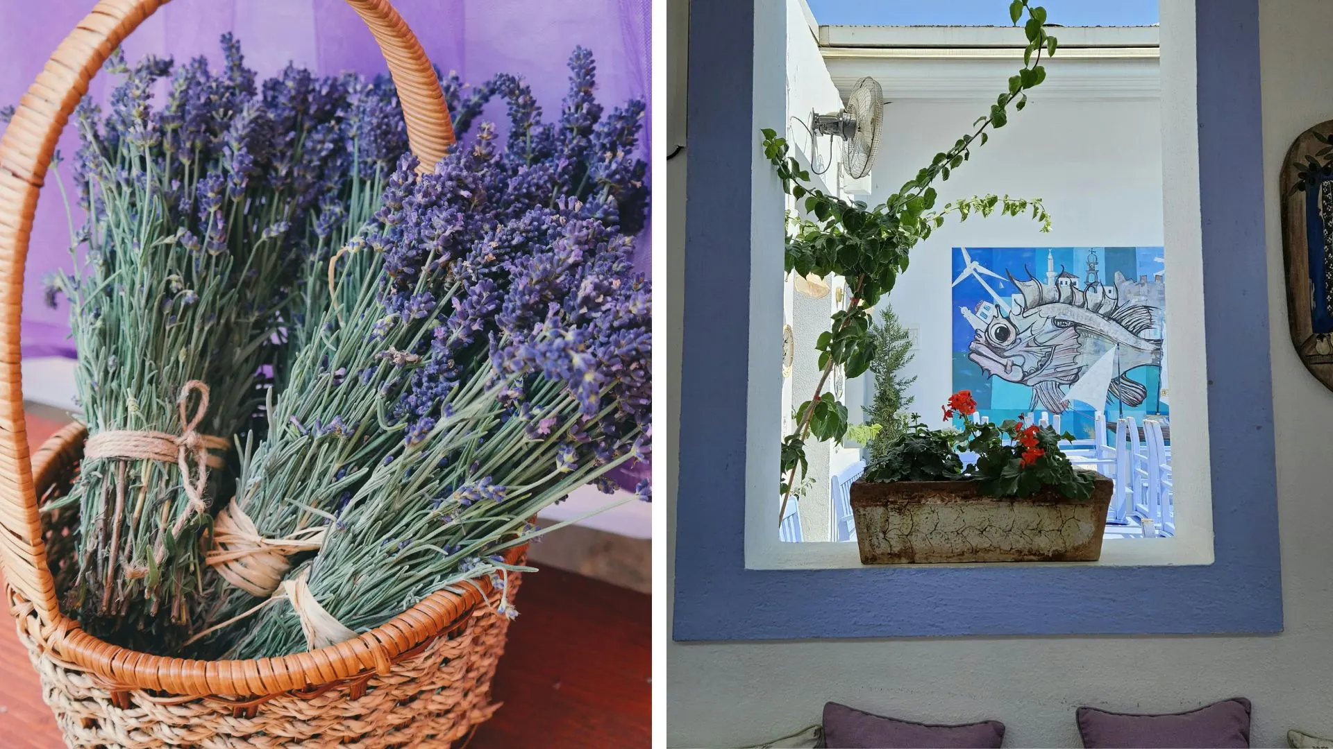 Imagen dividida en dos: a la izquierda, cesta de mimbre con ramos de lavanda fresca sobre fondo morado; a la derecha, ventana con maceta de geranios rojos, vista a un patio blanco y azul con mural de pez al fondo.