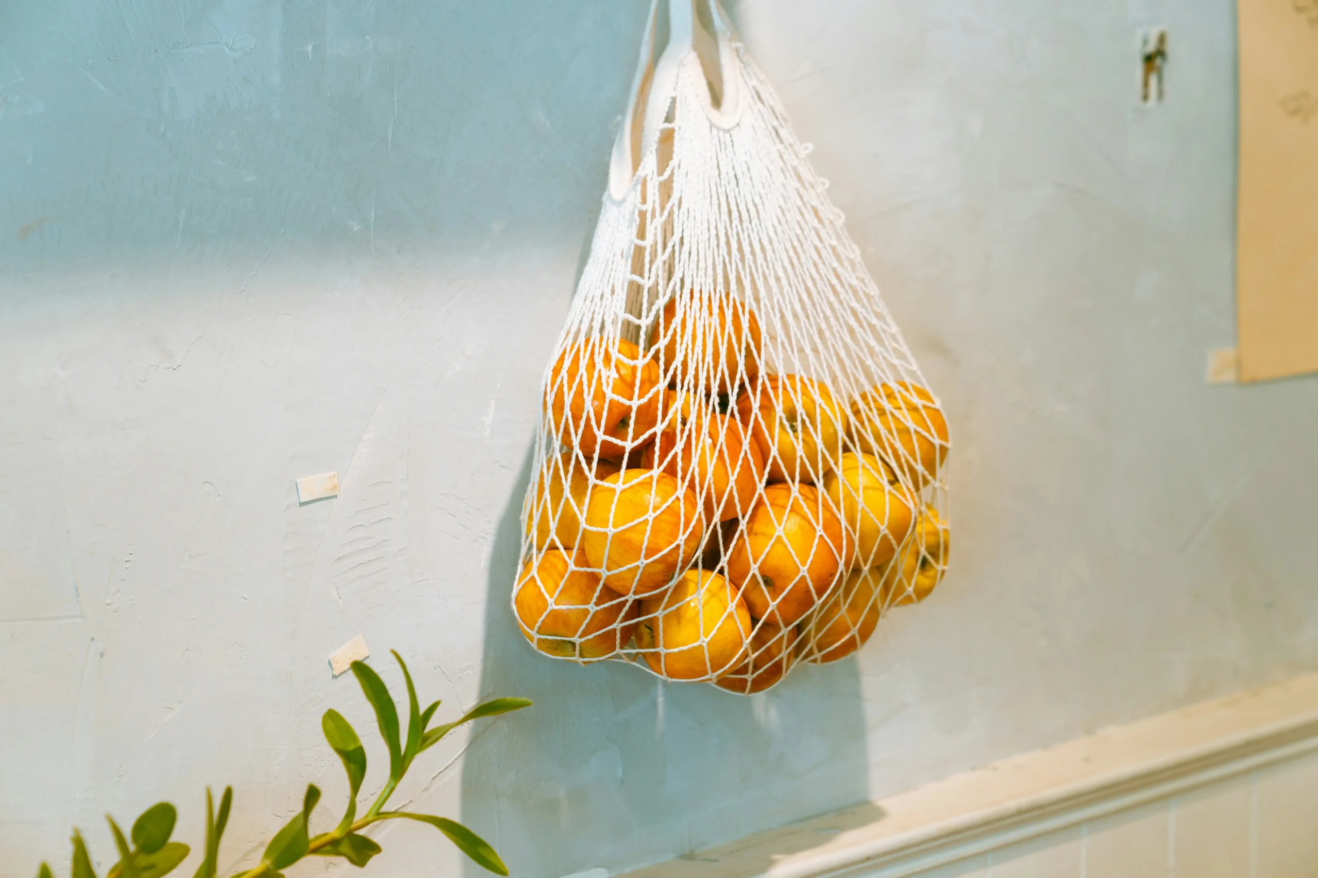 "Bolsa reutilizable de rejilla blanca colgada en la pared de una cocina, llena de naranjas frescas, junto a una planta en primer plano."
