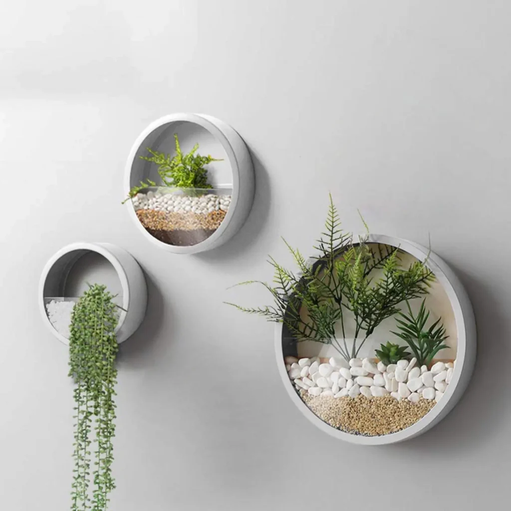 Composition of white circular wall-mounted planters with green plants and decorative stones, creating a minimalist vertical garden effect.