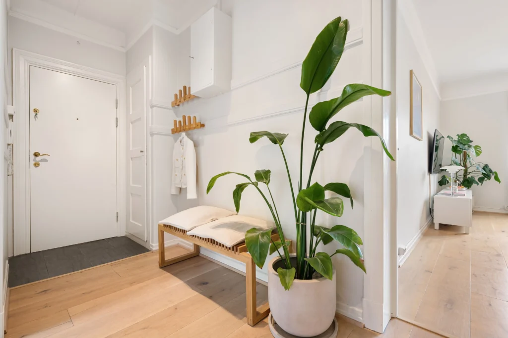 Modern, bright apartment entryway with a wooden bench, wall-mounted coat rack, decorative plants, and a minimalist design.